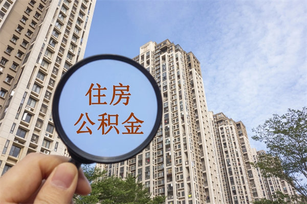 新野怎么把公积金全部取出来（如何将公积金全部取出）